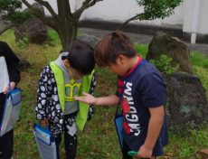 理科　生きもの (1)